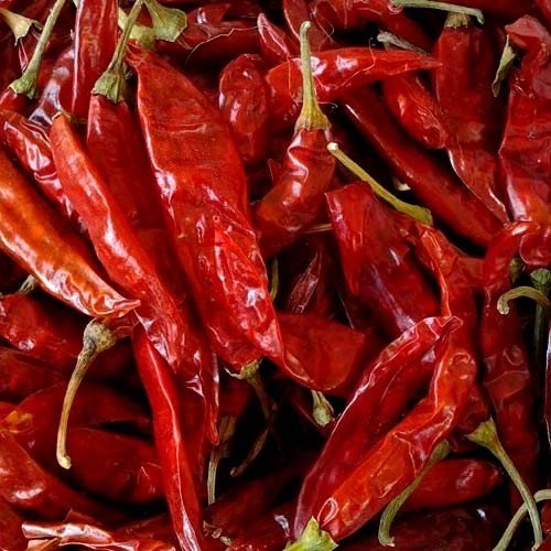 5531 Dry Red Chilli